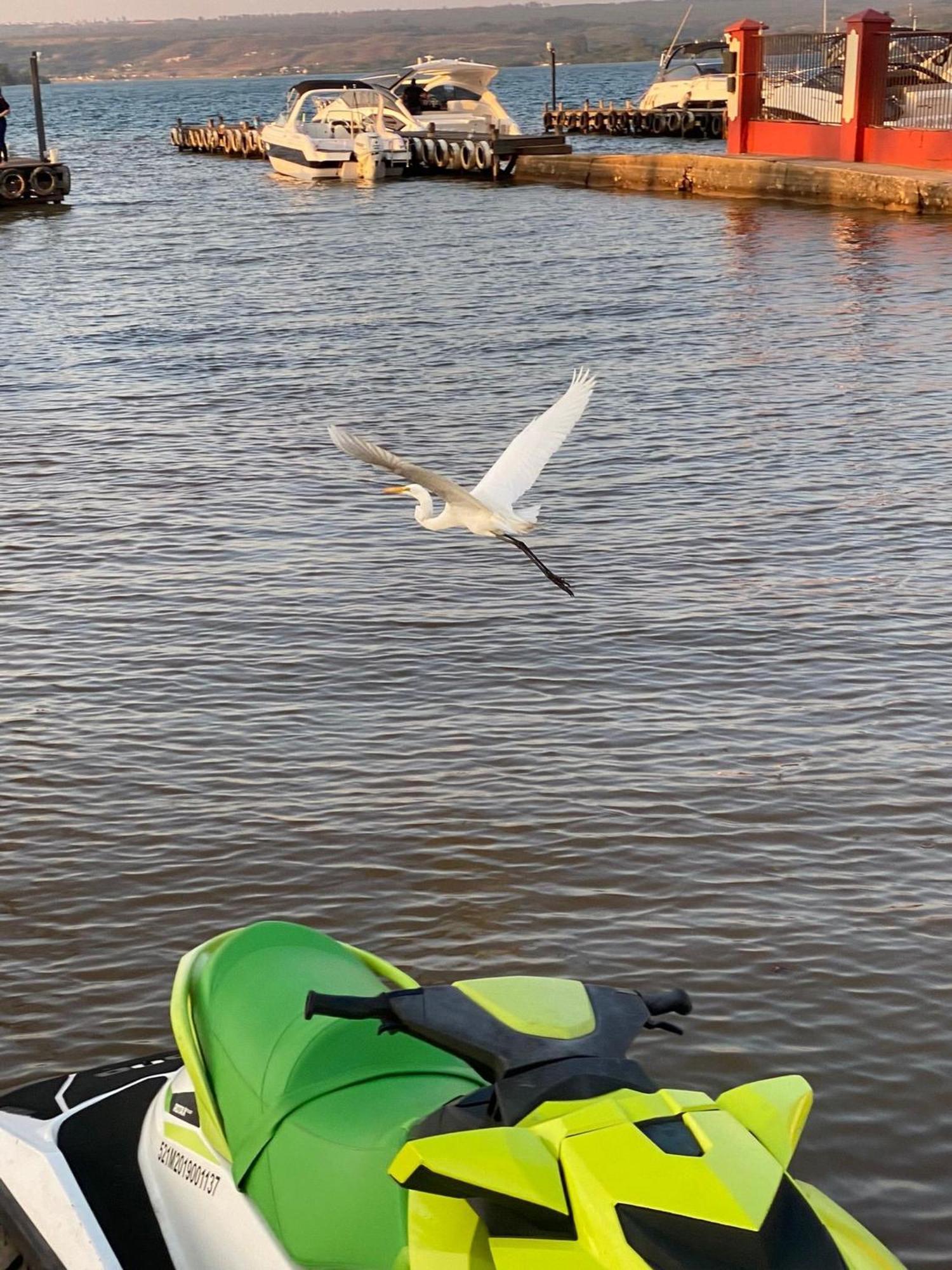 Flat Beira Lago No Centro De Bsb 巴西利亚 外观 照片