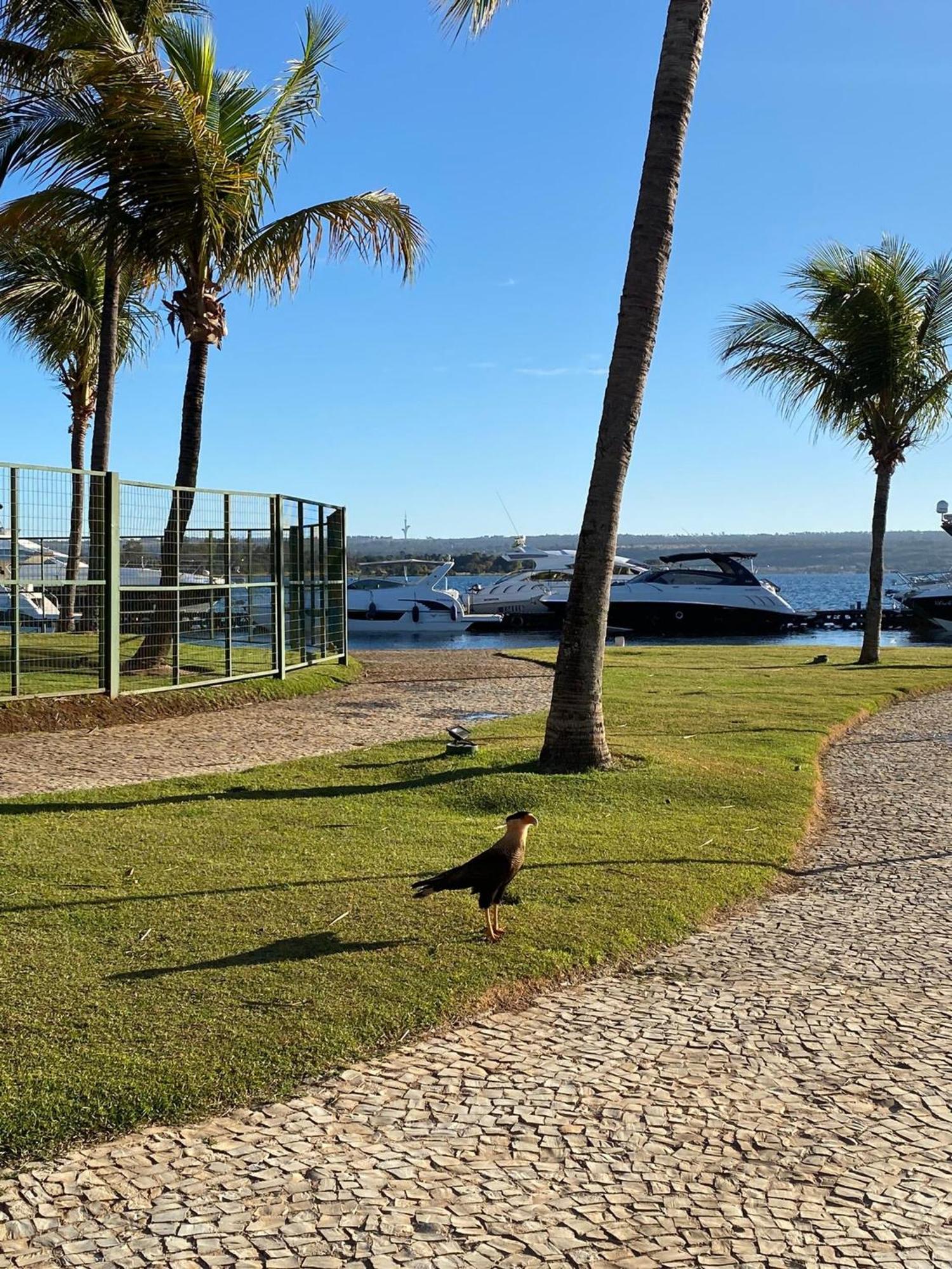Flat Beira Lago No Centro De Bsb 巴西利亚 外观 照片